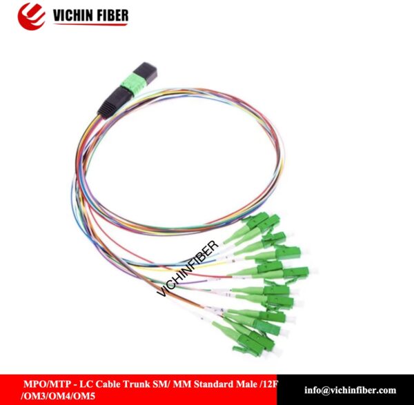 MPO/MTP - LC Cable Trunk / MM Standard Male /12F /OM3/OM4/OM5