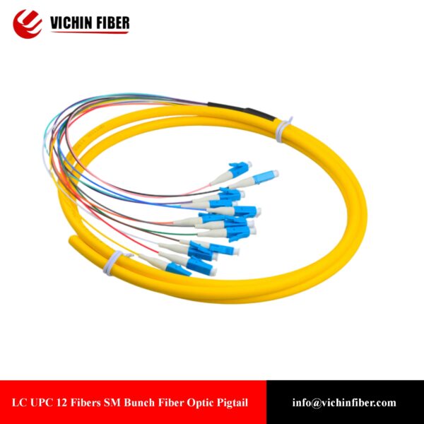 Bunch Typical 12 Fibers Fiber Optic Pigtail